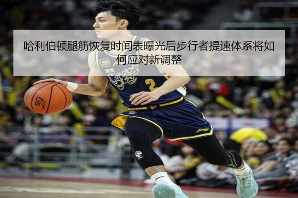 哈利伯顿腿筋恢复时间表曝光后步行者提速体系将如何应对新调整